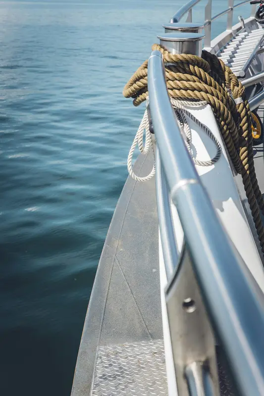 Mitigation.Boats Premium Domain